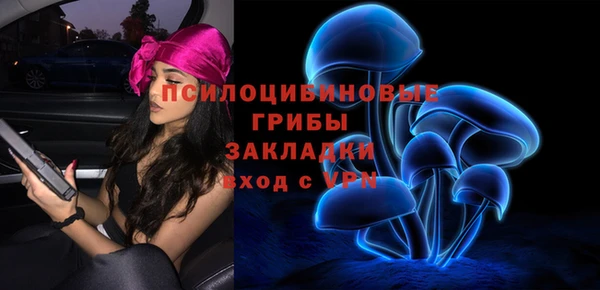apvp Няндома