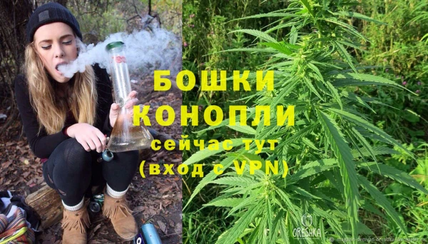 apvp Няндома