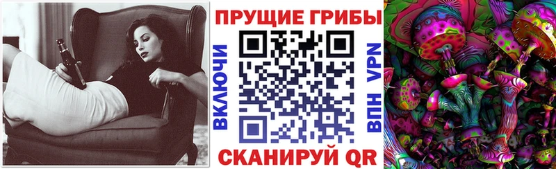 Галлюциногенные грибы Psilocybe Грязи