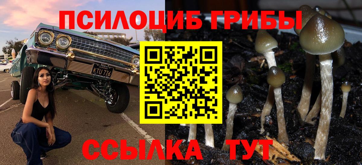 Псилоцибиновые грибы мухоморы Грязи