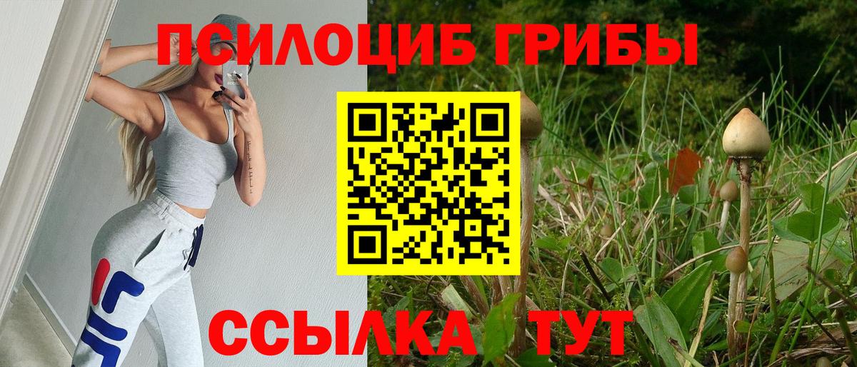 Псилоцибиновые грибы GOLDEN TEACHER  Грязи 