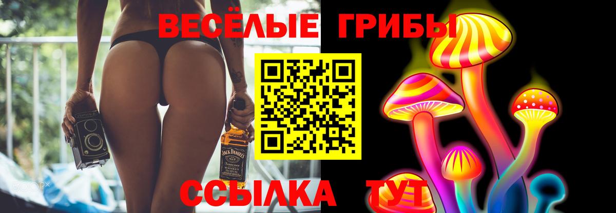 Грязи  ЭКСТАЗИ  COCAIN  Меф МЯУ МЯУ   ГАШ  Бошки Шишки  Каннабис 