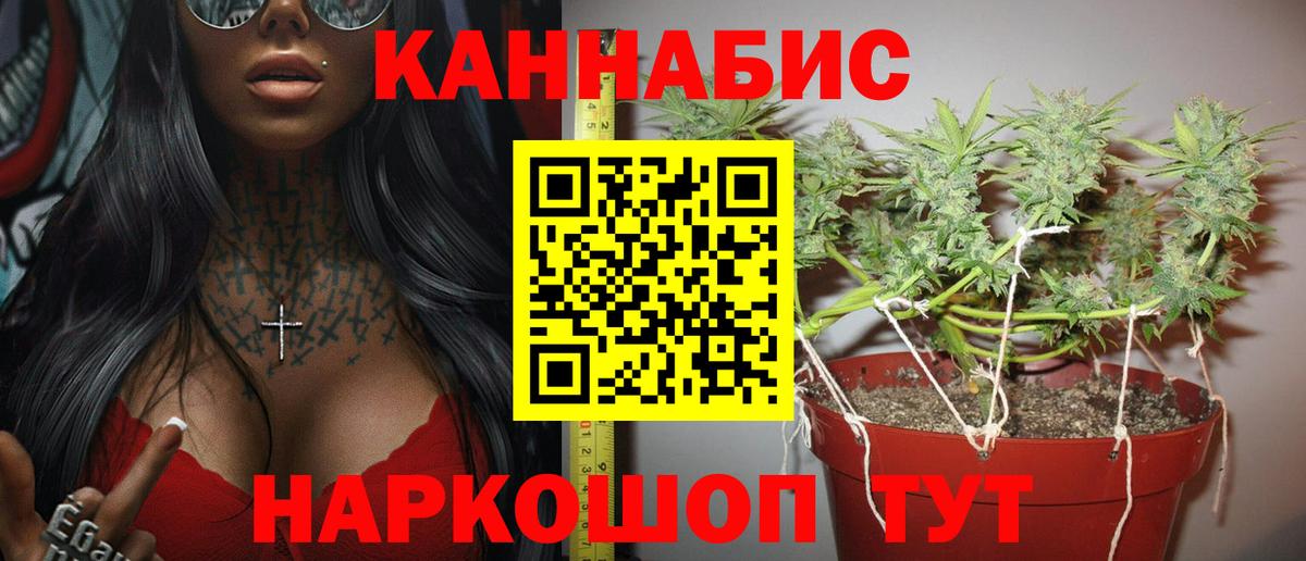 Шишки марихуана сатива  Каннабис THC 21%  Грязи  Каннабис LSD WEED 